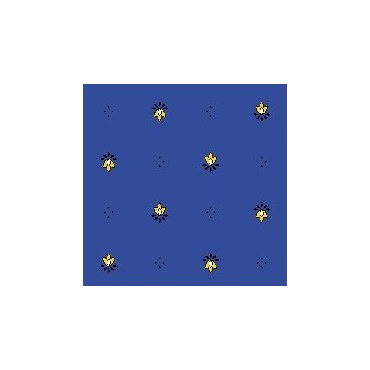 Exclusif bleu jaune