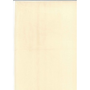 serviette coton  unie écru 40 cm /40 cm