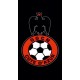 Serviette de plage OGC Nice Logo 75 cm / 150 cm