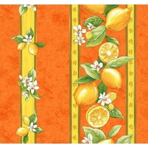 Nappe citron orange coton enduit plastifié 3m/1m55