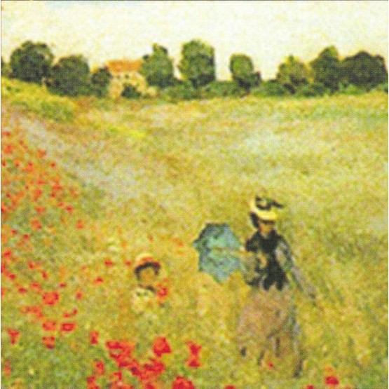 Housse de Coussin Coton Monnet les coquelicots 45cm/45cm Housse de Coussin Coton Monnet les coquelicots 45cm/45cm