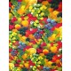 Nappe Zuccherro coton 3m/1m60