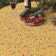 Nappe Beaucaire indienne jaune Enduit Plastifiée - 1m55 x1m20 - nappe enduite - nappe indienne- nappe provençale