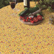 Nappe Beaucaire indienne jaune Enduit Plastifiée - 1m55 x1m20 - nappe enduite - nappe indienne- nappe provençale
